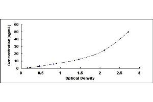 Typical standard curve (A2ML1 ELISA Kit)