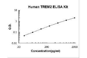 Triggering Receptor Expressed On Myeloid Cells 2 (TREM2) ELISA Kit