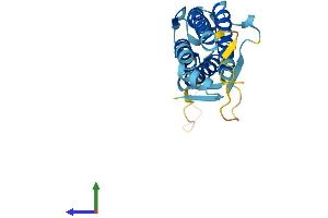 Protein Structure (PS) image for Lipoma HMGIC Fusion Partner-Like 2 (LHFPL2) (AA 1-228) protein (His tag) (ABIN7549060)