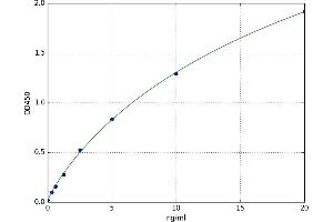 Kallikrein 6 (KLK6) ELISA Kit