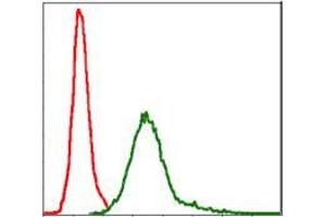 Flow Cytometry (FACS) image for anti-Baculoviral IAP Repeat-Containing 5 (BIRC5) antibody (ABIN969504)