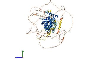 AlphaFold protein structure predicition of Mouse Recombinant Kansl3 Protein, UniprotID A2RSY1