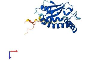 BET3L/TRAPPC3L Protein (AA 1-181) (His tag)