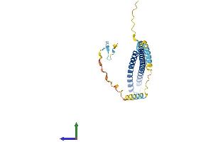 Protein Structure (PS) image for Charged Multivesicular Body Protein 5 (CHMP5) (AA 1-219) protein (His tag) (ABIN7564995)