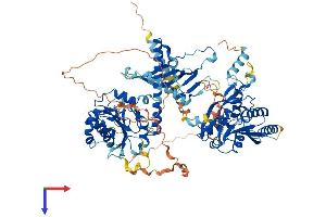 CHSY3 Protein (AA 1-884) (His tag)