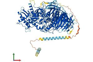 Protein Structure (PS) image for Mannosidase, Alpha, Class 2A, Member 1 (MAN2A1) (AA 1-1150) protein (His tag) (ABIN7563021)