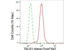 Flow cytometric analysis of TBLR1 expression in HepG2 cells using TBLR1 antibody (ABIN7800598), 1:2,000). (Rekombinanter TBL1XR1 Antikörper)