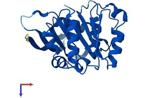 ABHD14B Protein (AA 1-210) (His tag)