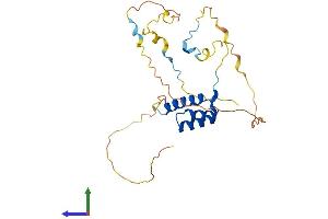 Protein Structure (PS) image for Homeobox C4 (HOXC4) (AA 1-264) protein (His tag) (ABIN7556922)