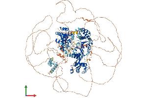 Protein Structure (PS) image for Bloom Syndrome RecQ Like Helicase (BLM) (AA 1-1417) protein (His tag) (ABIN7552673)