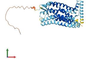 Protein Structure (PS) image for Chemokine (C-C Motif) Receptor 9 (CCR9) (AA 1-369) protein (His tag) (ABIN7556291)