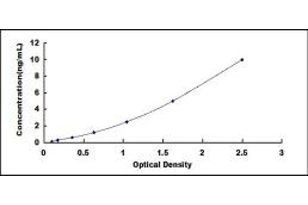 HVCN1 ELISA Kit