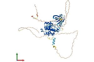 AlphaFold protein structure predicition of Human Recombinant STK33 Protein, UniprotID Q9BYT3 (STK33 Protein (AA 1-514) (His tag))