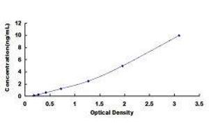 ELISA image for BCL2 Binding Component 3 (BBC3) ELISA Kit (ABIN432407)