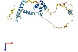 SCNM1 Protein (AA 1-230) (His tag)