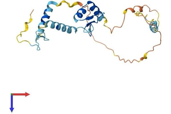 SCNM1 Protein (AA 1-230) (His tag)