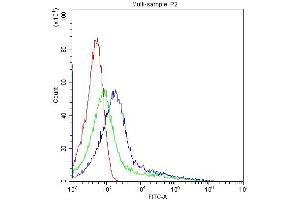 Flow Cytometry analysis of K562 cells using anti-CYP1A1 antibody (ABIN3043819).