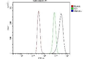 Flow Cytometry analysis of NRK cells using anti-RNase L/Rnasel antibody (ABIN7600857). (RNASEL Antikörper  (AA 24-735))