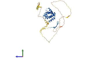 Protein Structure (PS) image for AT Rich Interactive Domain 3C (BRIGHT-Like) (ARID3C) (AA 1-412) protein (His tag) (ABIN7552300)