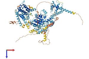 SMARCA1 Protein (AA 1-1046) (His tag)