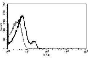 Flow Cytometry (FACS) image for anti-Chemokine (C-X-C Motif) Receptor 4 (CXCR4) antibody (ABIN1105966) (CXCR4 Antikörper)