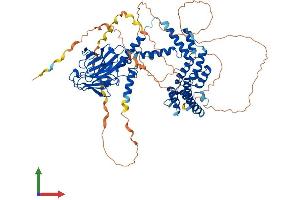 Protein Structure (PS) image for Importin 9 (IPO9) (AA 1-729) protein (His tag) (ABIN7555156)