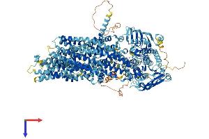 ABCC2 Protein (AA 1-1543) (His tag)