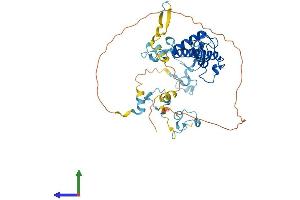 Protein Structure (PS) image for Makorin Ring Finger Protein 2 (MKRN2) (AA 1-416) protein (His tag) (ABIN7561448)