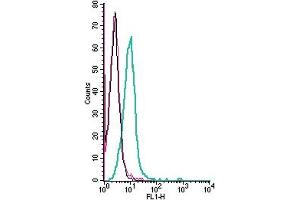 Cell surface detection of PACC1 by indirect flow cytometry in live intact human  monocytic leukemia cell line: + goat-anti-rabbit-FITC. (PACC1 (AA 95-110), (Extracellular) Antikörper)