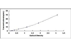 Typical standard curve (PNLIP ELISA Kit)