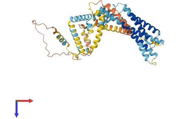 PLIN5 Protein (AA 1-463) (His tag)