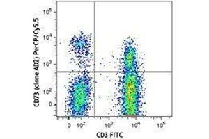 Flow Cytometry (FACS) image for anti-5'-Nucleotidase, Ecto (CD73) (NT5E) antibody (PerCP-Cy5.5) (ABIN2660154) (CD73 Antikörper  (PerCP-Cy5.5))