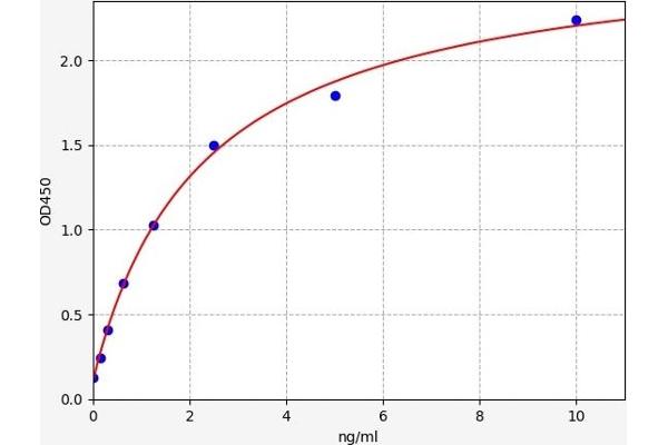 CDKN2C ELISA Kit