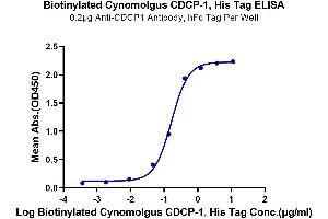 ELISA image for CUB Domain Containing Protein 1 (CDCP1) (AA 29-667) protein (His-Avi Tag,Biotin) (ABIN7274292)