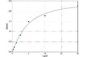 Suppressor of Cytokine Signaling 1 (SOCS1) ELISA Kit