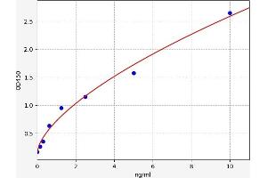 eEF1A1 ELISA Kit