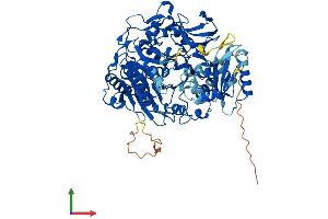 Protein Structure (PS) image for Acyl-CoA Synthetase Short-Chain Family Member 2 (ACSS2) (AA 1-701) protein (His tag) (ABIN7551831)