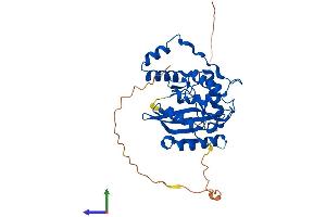 AlphaFold protein structure predicition of Human Recombinant VASH2 Protein, UniprotID Q86V25