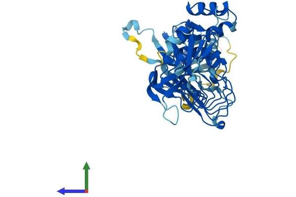 PPIL5 Protein (AA 1-414) (His tag)
