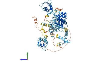 Protein Structure (PS) image for Baculoviral IAP Repeat Containing 3 (BIRC3) (AA 1-600) protein (His tag) (ABIN7562217)