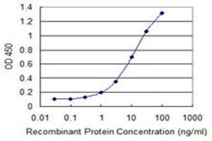Detection limit for recombinant GST tagged GNL3 is 0. (Nucleostemin Antikörper  (AA 328-427))