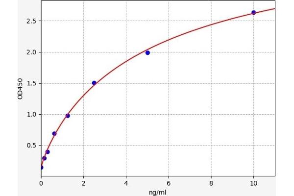 Caspase 10 ELISA Kit