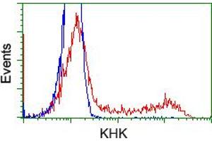 HEK293T cells transfected with either RC202424 overexpress plasmid (Red) or empty vector control plasmid (Blue) were immunostained by anti-KHK antibody (ABIN2453197), and then analyzed by flow cytometry. (Ketohexokinase Antikörper)
