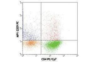 Flow Cytometry (FACS) image for anti-Colony Stimulating Factor 2 (Granulocyte-Macrophage) (CSF2) antibody (PE) (ABIN2663708) (GM-CSF Antikörper  (PE))
