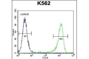 MLH1 Antibody (Center) (ABIN655632 and ABIN2845111) flow cytometric analysis of K562 cells (right histogram) compared to a negative control cell (left histogram). (MLH1 Antikörper  (AA 452-480))