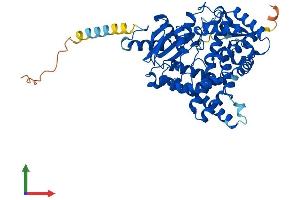 Protein Structure (PS) image for Cytochrome P450, Family 19, Subfamily A, Polypeptide 1 (CYP19A1) (AA 1-503) protein (His tag) (ABIN7563052)