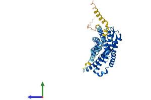 Protein Structure (PS) image for Chemokine (C-C Motif) Receptor 8 (CCR8) (AA 1-353) protein (His tag) (ABIN7556480)