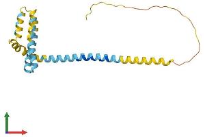 Protein Structure (PS) image for Receptor Accessory Protein 1 (REEP1) (AA 1-201) protein (His tag) (ABIN7551322)