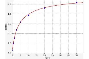 GSK3 alpha ELISA Kit