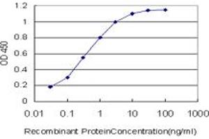 Detection limit for recombinant GST tagged MDM2 is approximately 0. (MDM2 Antikörper  (AA 101-200))